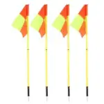 Set fanioane