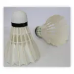 Fluturași badminton