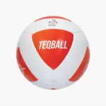 Minge teqball